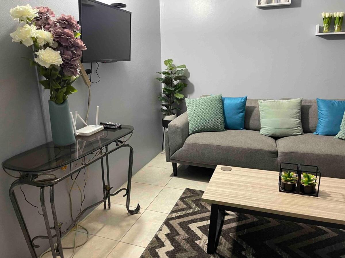 One Bedroom City Apartment Fully Ac With 24Hrs Security Kingston Ngoại thất bức ảnh