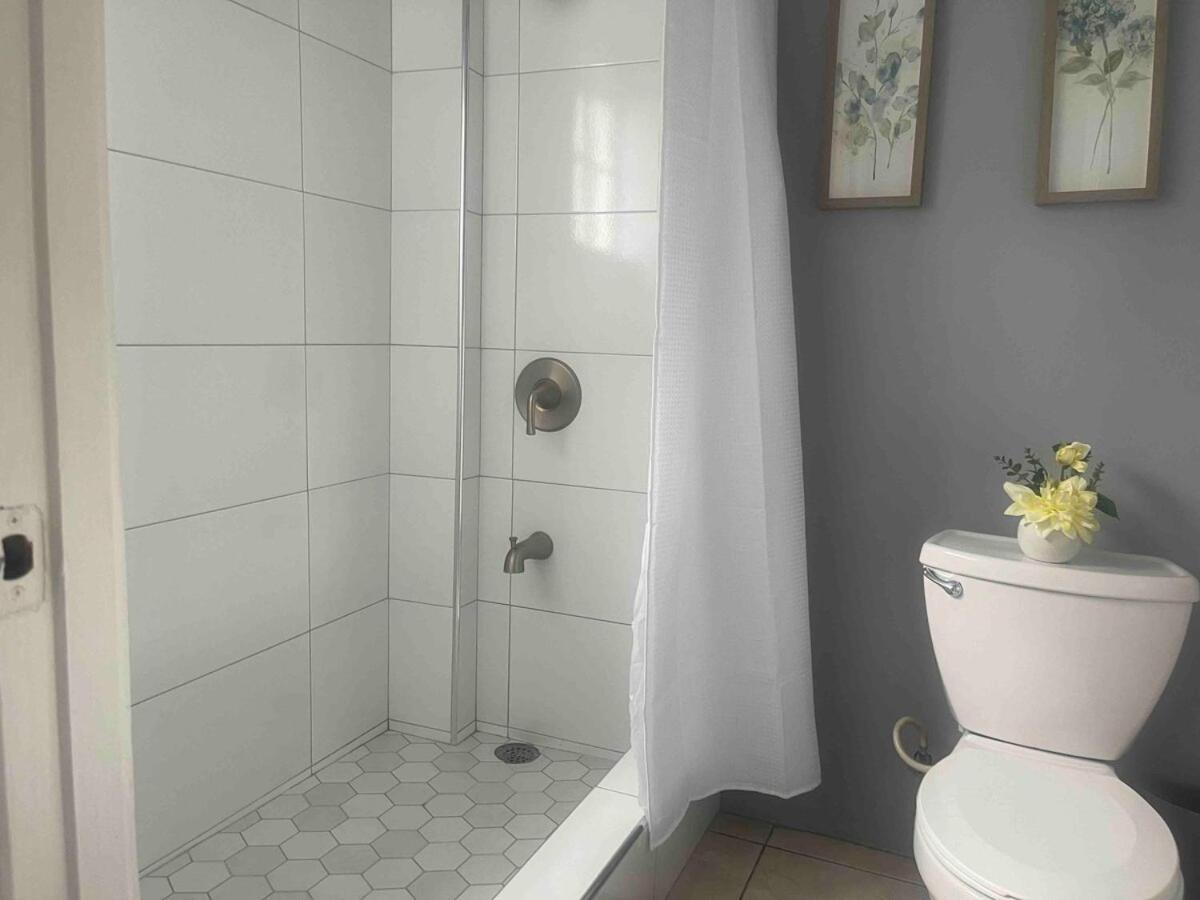 One Bedroom City Apartment Fully Ac With 24Hrs Security Kingston Ngoại thất bức ảnh