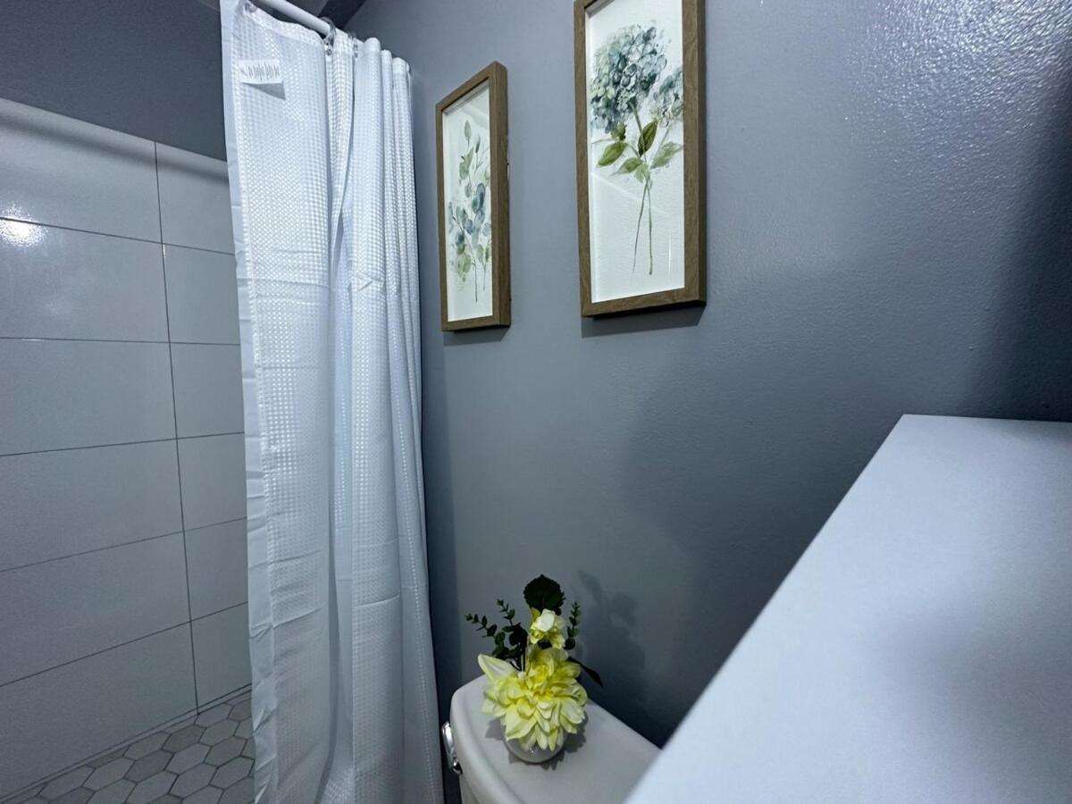 One Bedroom City Apartment Fully Ac With 24Hrs Security Kingston Ngoại thất bức ảnh