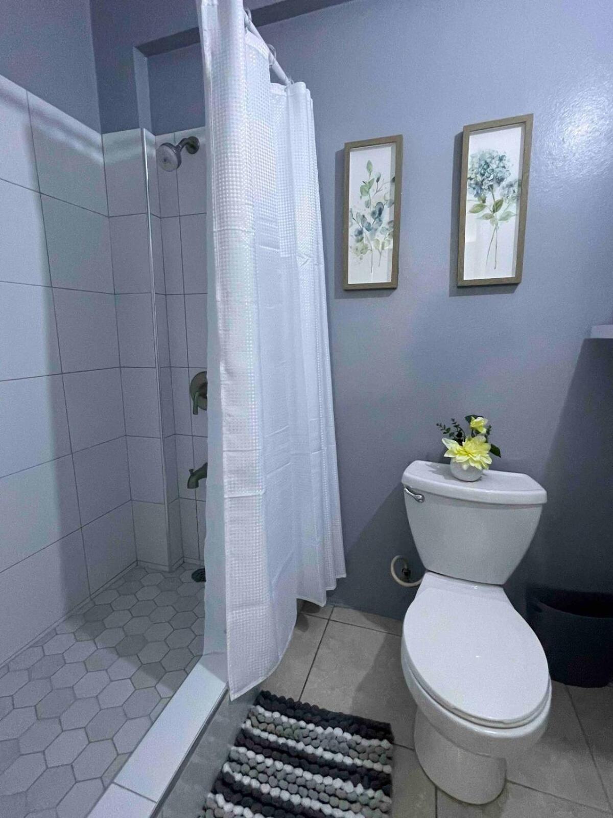 One Bedroom City Apartment Fully Ac With 24Hrs Security Kingston Ngoại thất bức ảnh